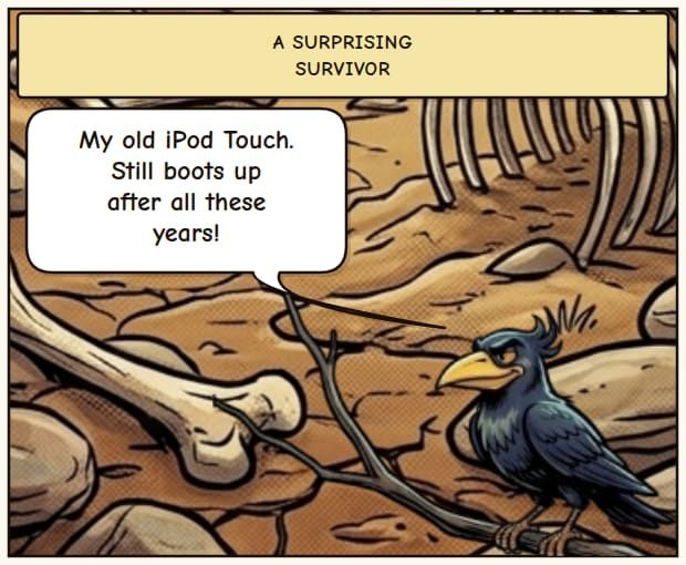 iPod Touch Longevity